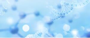 MK(�����Ƽ����޹�˾)�������ٷ���վ